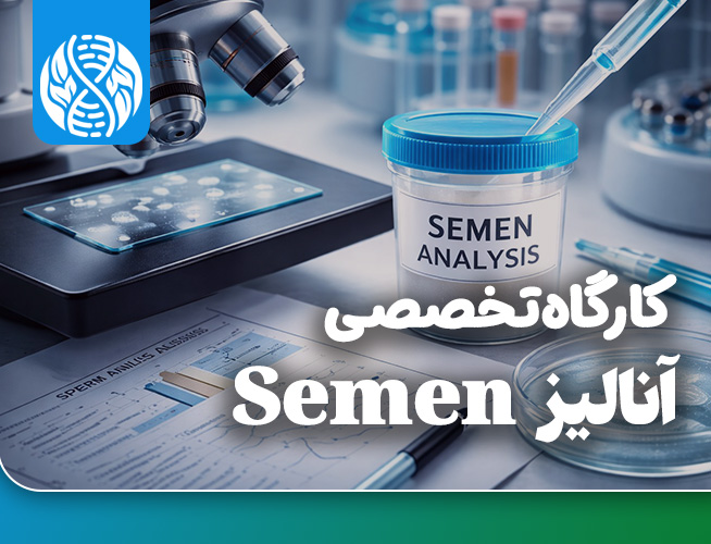 آنالیز سمن