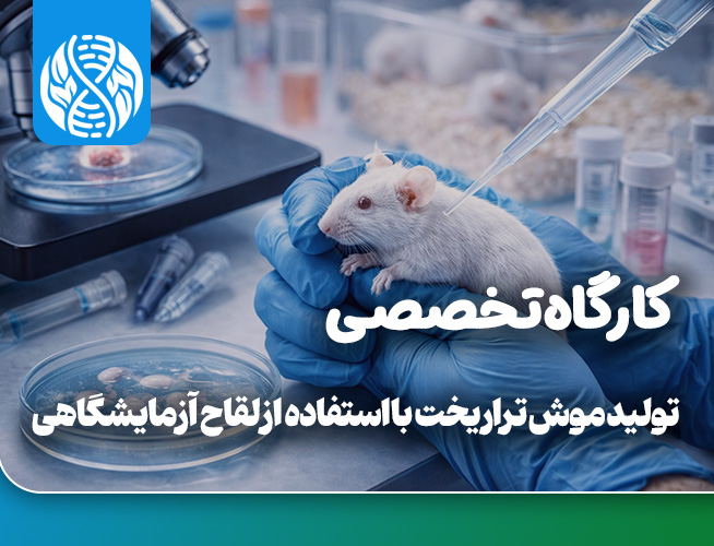 تولید موش تراریخت با استفاده از لقاح آزمایشگاهی