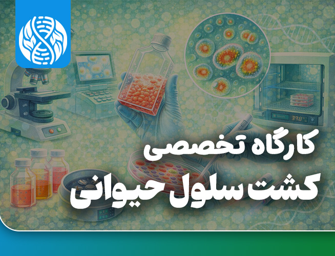 کشت سلول