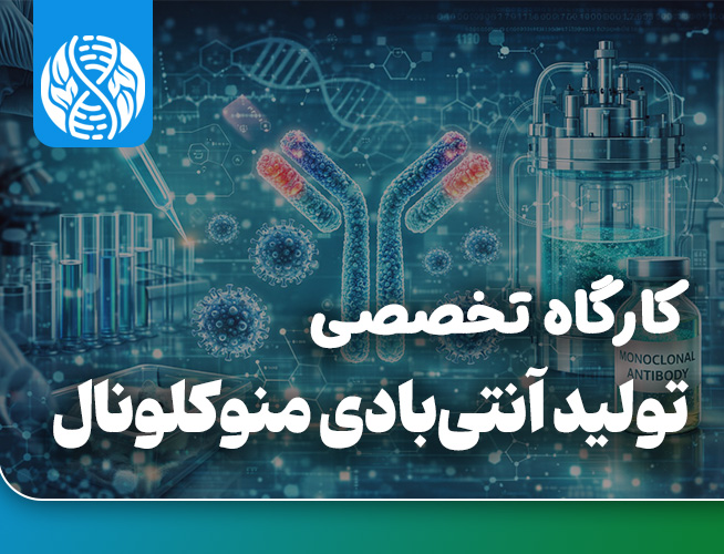 تولید آنتی بادی مونوکلونال
