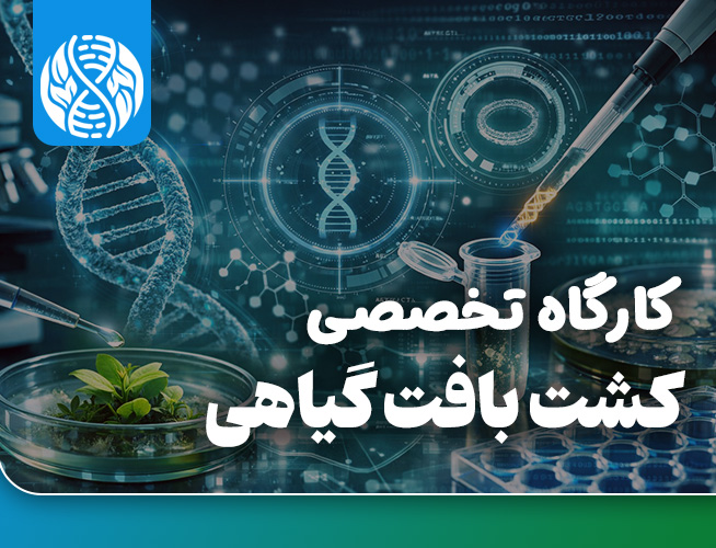 کشت بافت گیاهی