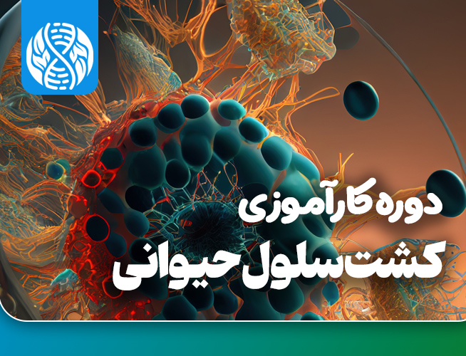 دوره کارآموزی بین المللی کشت سلول 