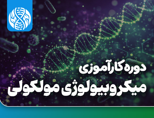 دوره کارآموزی بین المللی میکروبیولوژی مولکولی 