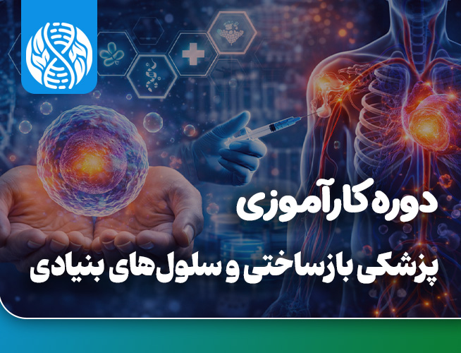 کارآموزی بین المللی سلول های بنیادی و پزشکی بازساختی
