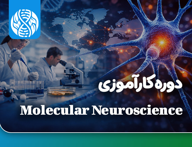 دوره کارآموزی بین المللی مولکولار نوروساینس 