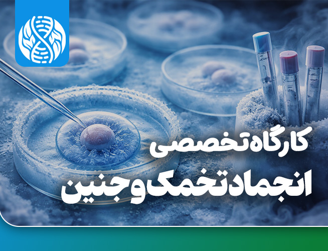 انجماد تخمک و جنین